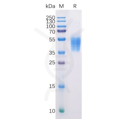 sp-pme100510 b7 h6 sp1