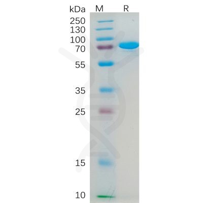 sp-pme100553 cd112 sp1