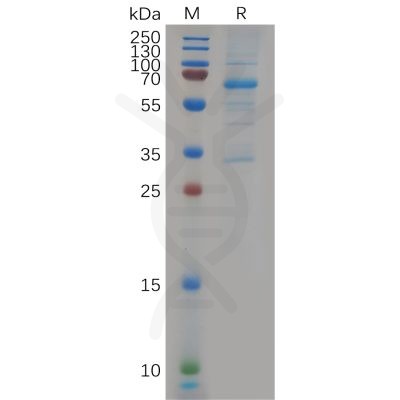 sp-pme100612 eva1c sp1