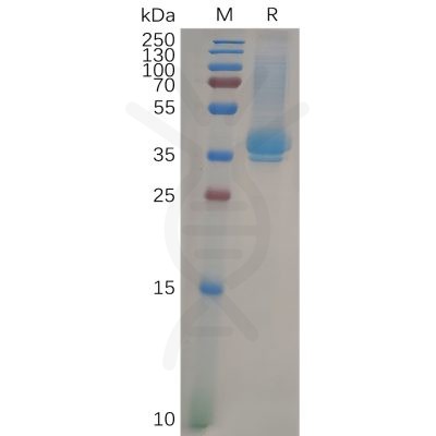 sp-pme100644 cd23 sp1