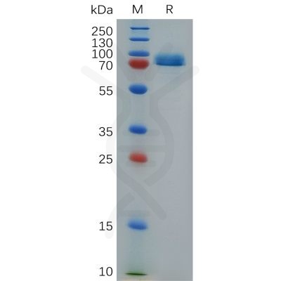 sp-pme100718 stab1 sp1