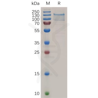 sp-pme100723 tem1 sp1