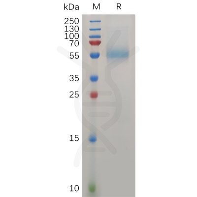 sp-pme100733 zp3 sp1