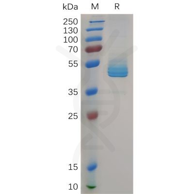 sp-pme100828 cd3e sp1