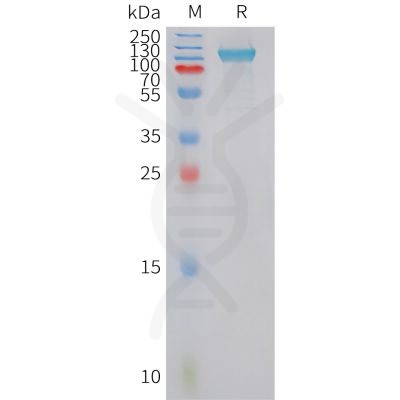 sp-pme101432 pld4 sp1