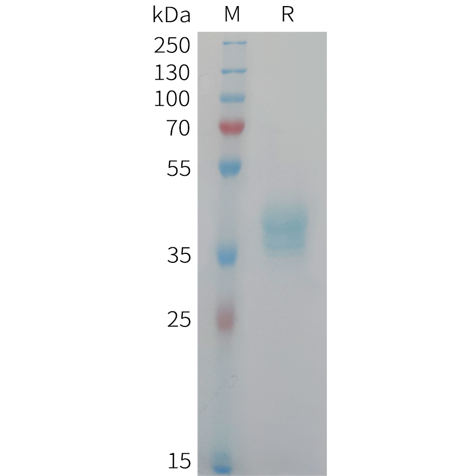 pme101451-cadm3-sp1.jpg