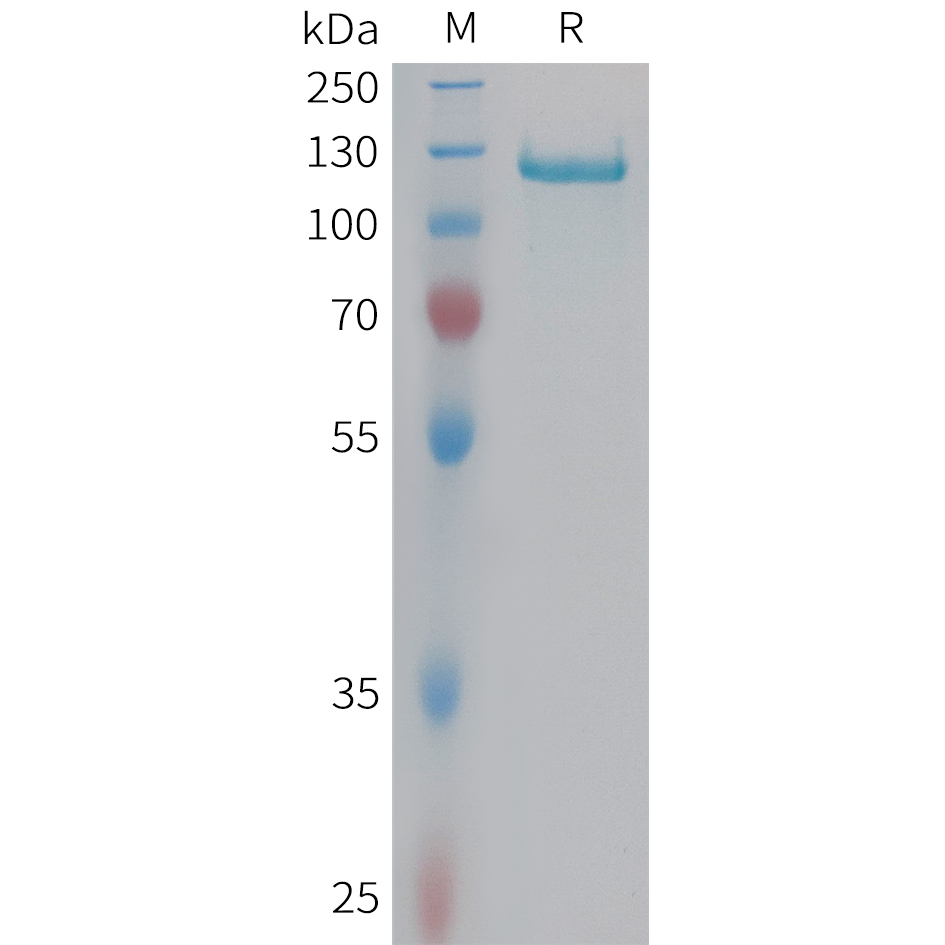 pme101452-c6-sp1.jpg