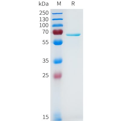 sp-pme101645 akt1 sp1