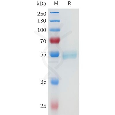 sp-pme101666 cd4 sp1