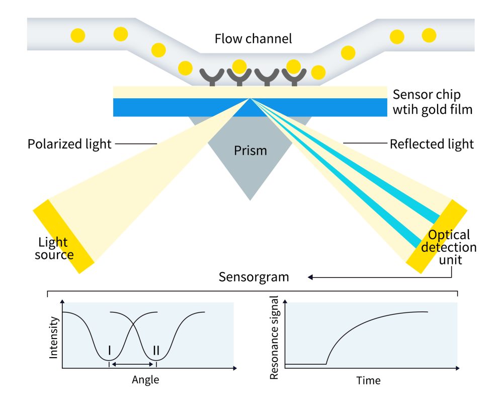 the principle of SPR